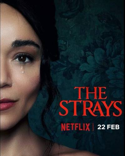 Download The Strays 2023 Dual Audio Full Movie [Hindi-Eng] WEB-DL 1080p 720p 480p HEVC