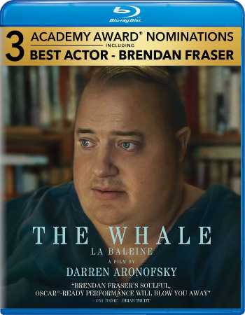 Download The Whale 2022 BluRay Dual Audio [Hindi-Eng] 1080p 720p 480p HEVC