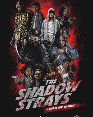 Download The Shadow Strays 2024 Dual Audio [Hindi 5.1ch-Eng] WEB-DL Movie 1080p 720p 480p HEVC